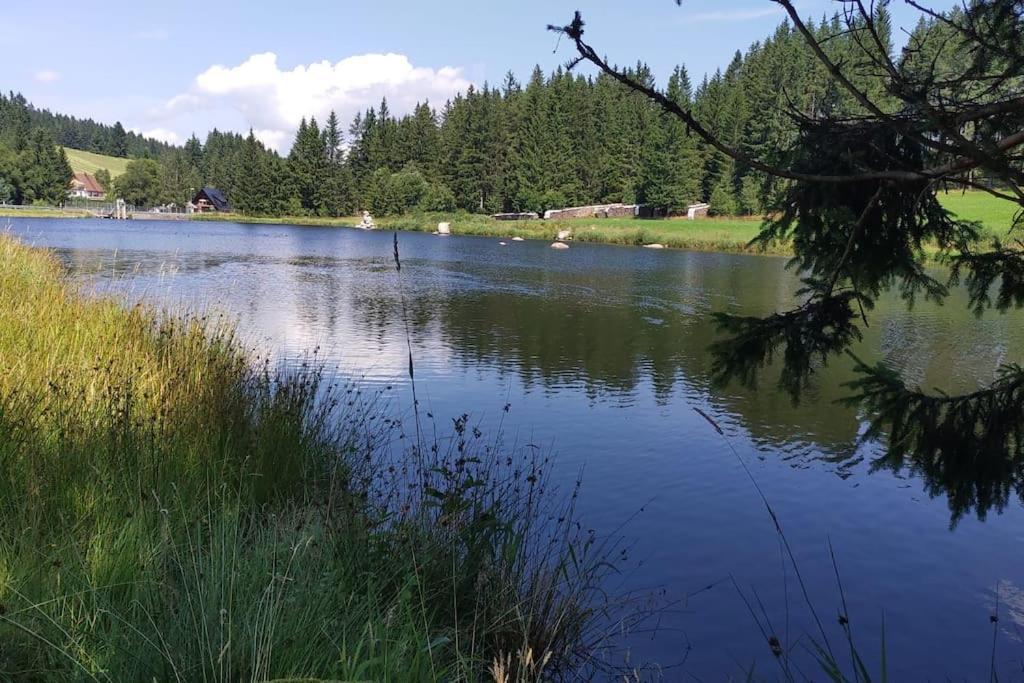 Black Forest Kuckucksnest Schönwalde Exterior foto
